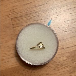 Origami Owl Gold Virginia Charm